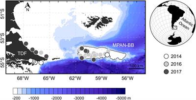 Growing Up Down South: Spatial and Temporal Variability in Early Growth of Fuegian Sprat Sprattus fuegensis From the Southwest Atlantic Ocean